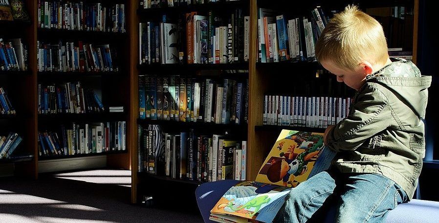 Tipos de lectores y promocion de la lectura en casa